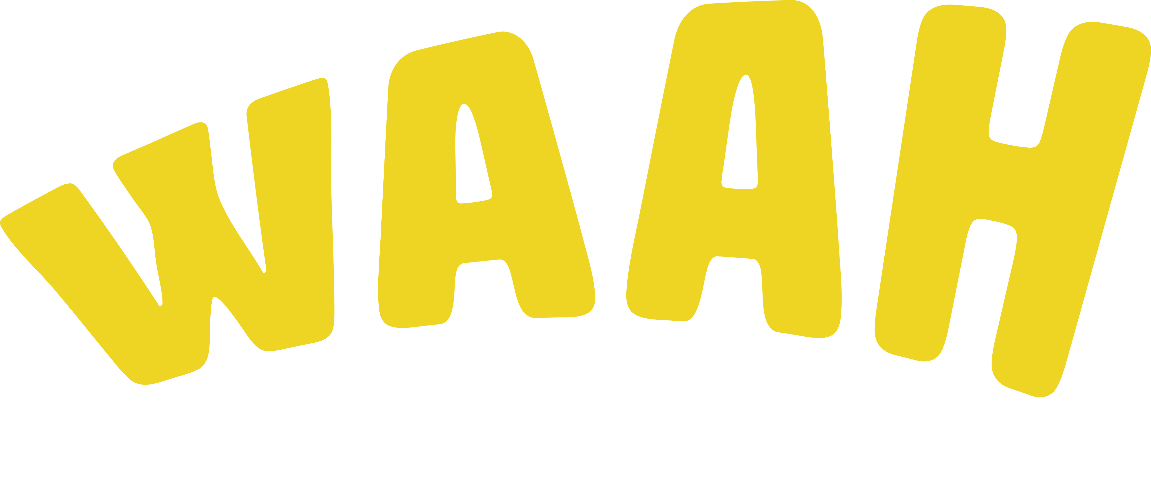 Waah Indian Bistro